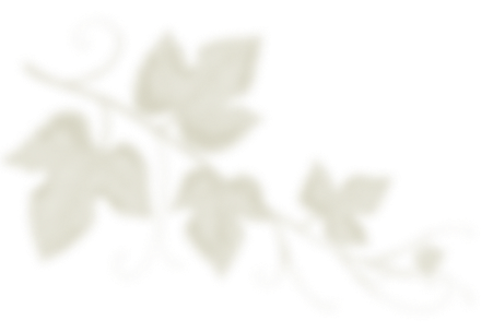 Грузинская кухня в Калуге