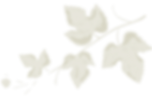 Грузинская кухня в Калуге